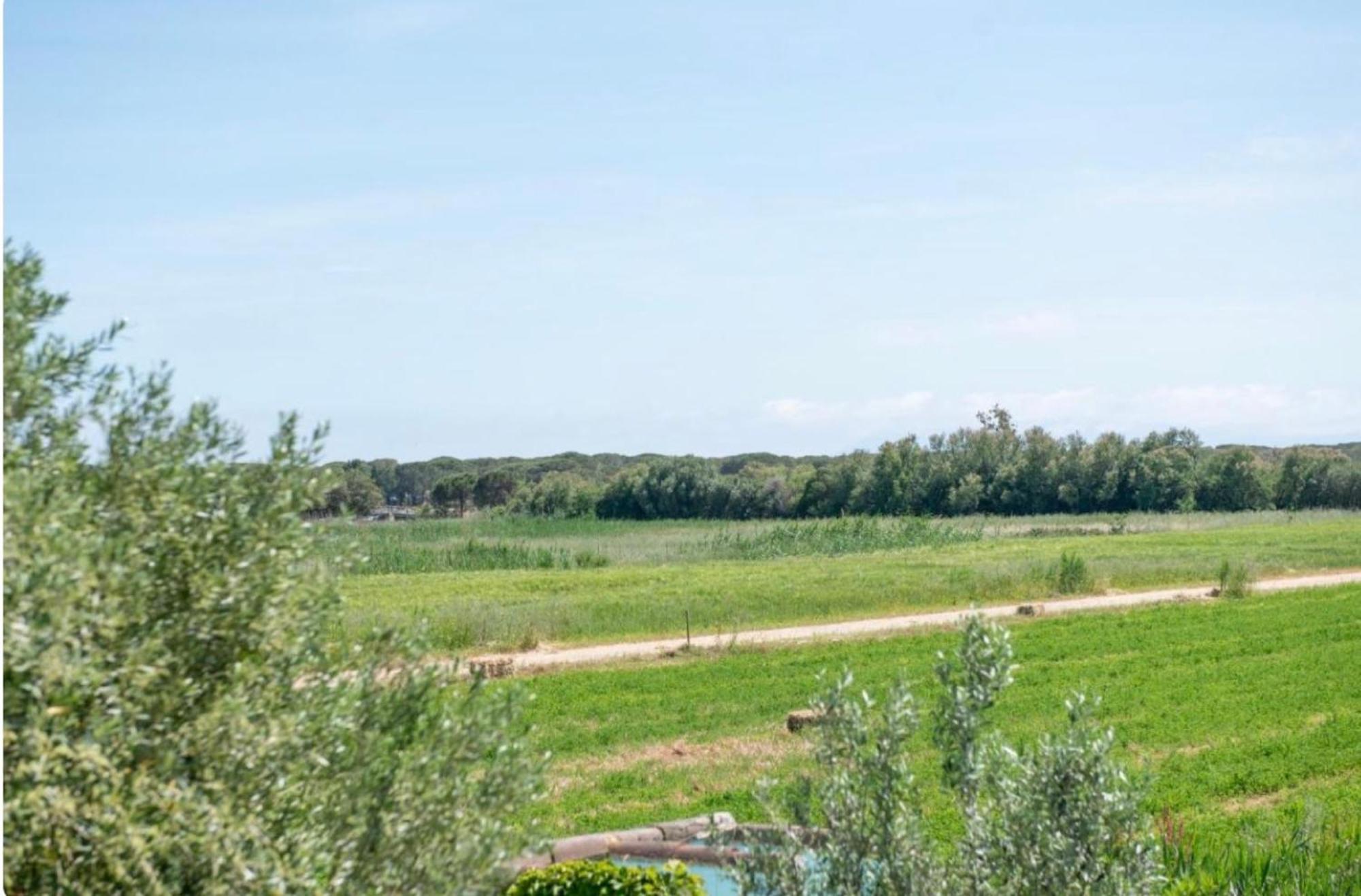 Casa Su Barone 1 Villa Orosei Eksteriør billede